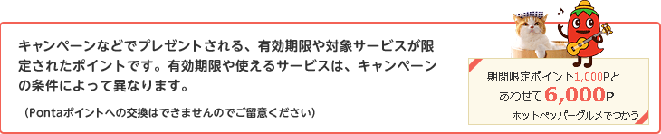 キャンペーンなどでプレゼントされる、有効期限や対象サービスが限定されたポイントです。有効期限や使えるサービスは、キャンペーンの条件によって異なります。（Pontaポイントへの交換はできませんのでご留意ください）