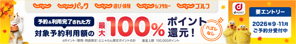 じゃらん×docomo（通年）
