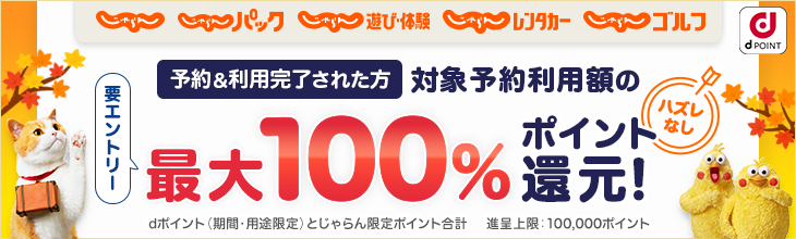 じゃらん×docomo（通年）